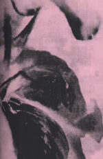 Pandemic Flower